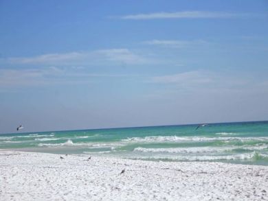 Miramar Beach Luxury 5 Bedroom Cottage 100 Steps to Beach